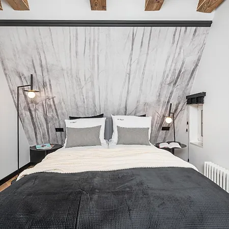 Apartment Teatro Old Town - Billberry